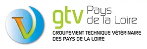logo (1)